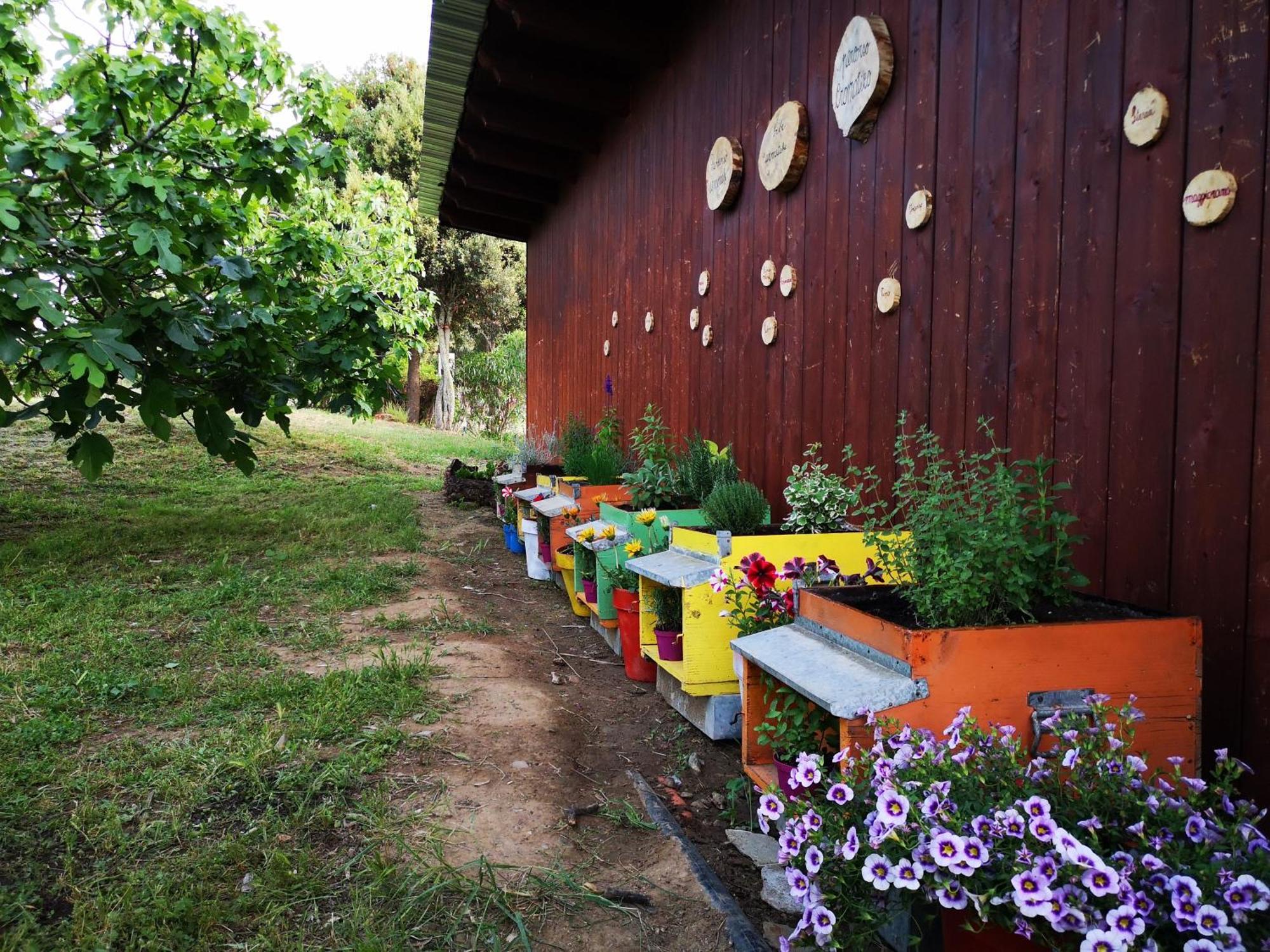 Su Leunaxiu Solèminis Exterior foto